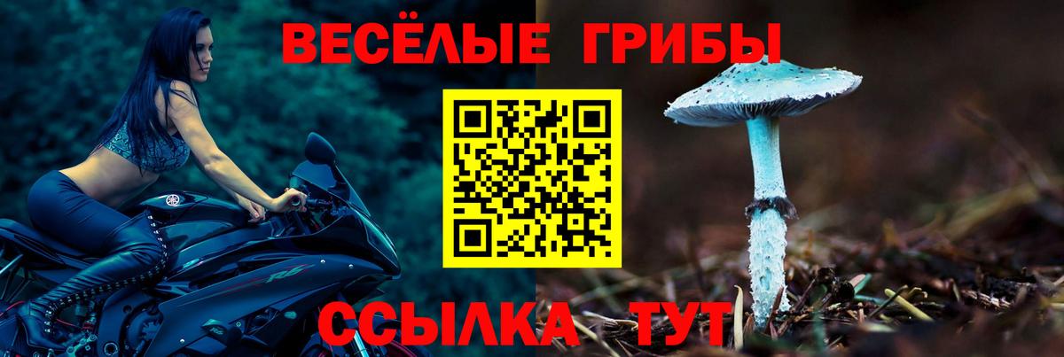 Галлюциногенные грибы прущие грибы Находка